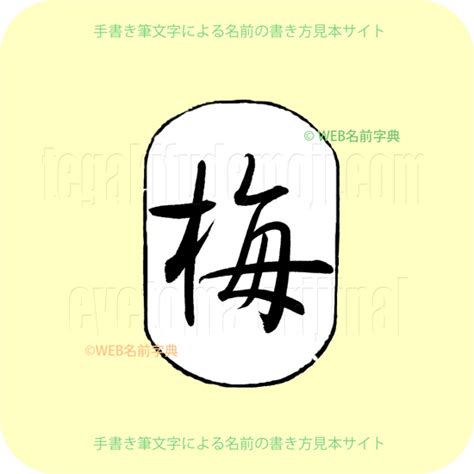 木部的字|木部